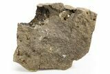 Herkimer Diamonds in Matrix - The Ace of Diamonds Mine, New York #324468-1